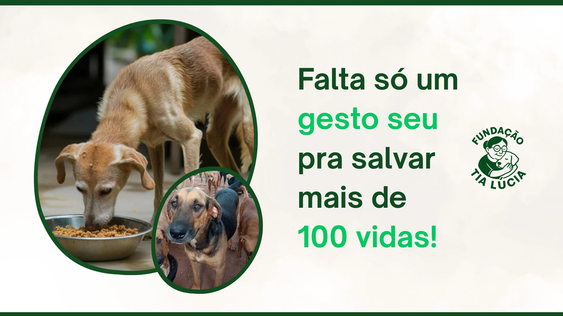 Felipe no hospital